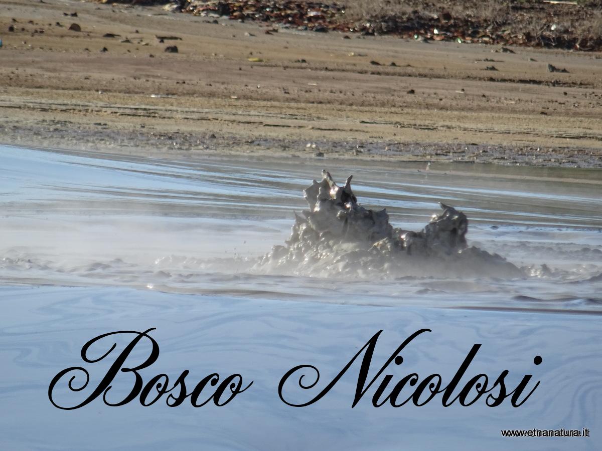 Bosco Nicolosi